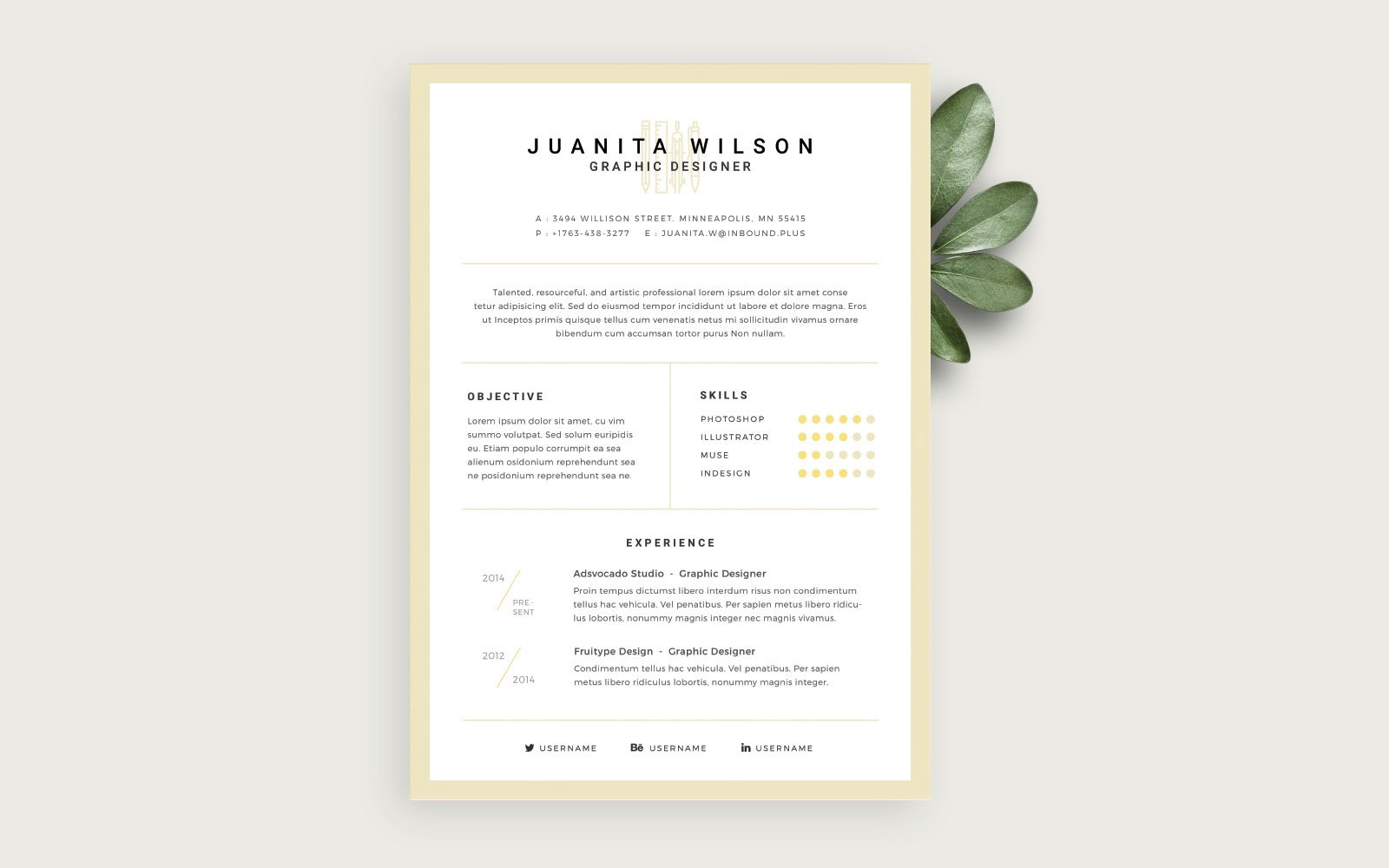 template  clean resume